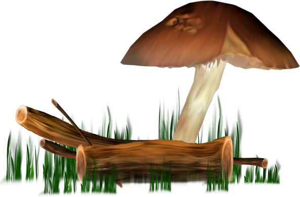 GBD_Lbe9