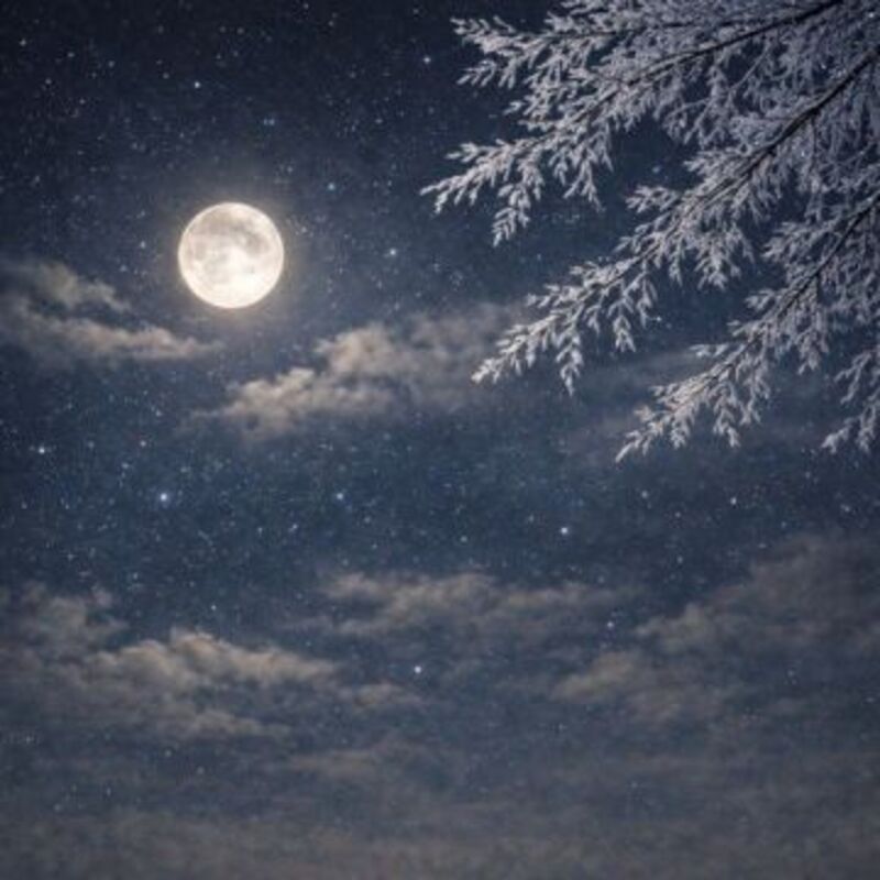 그대라는 노래를 부르면 - LeeYeeun (이예은)