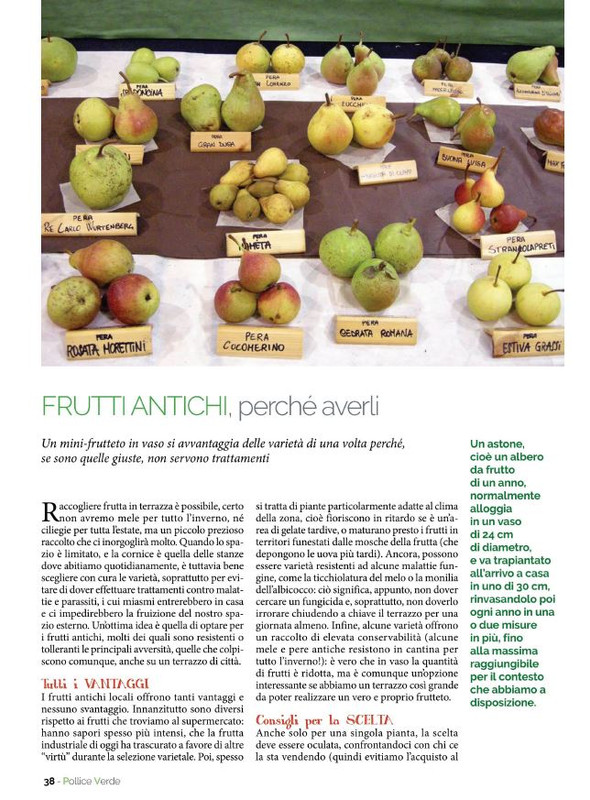 Pol Ver Ott 2021 (5)