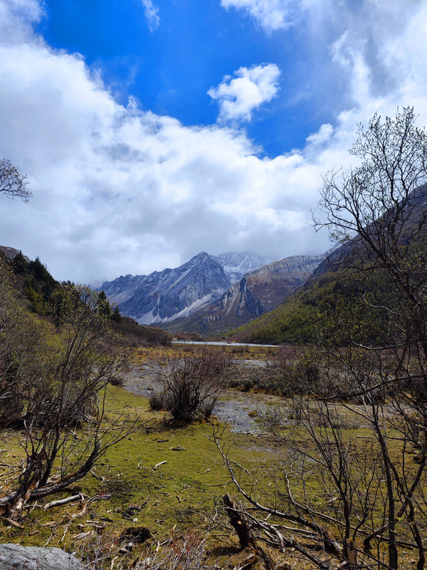 IMG_20230520_110824_副本