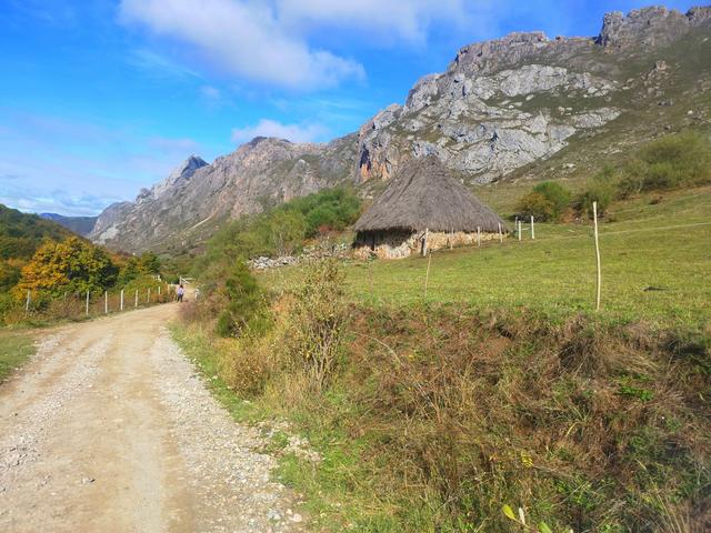 Otro puente en Asturias - Blogs de España - Domingo 11 Octubre. Ruta Valle del Lago (Somiedo) (8)