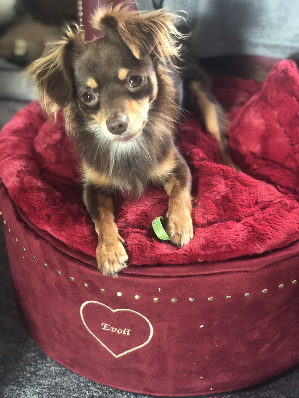 7EB9076B-39C0-44C3-90B0-9BD0DC97D5B0