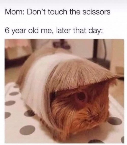 thumbs-picdump921-01.jpg