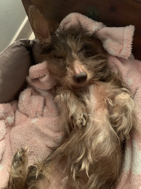 [Image: E3-E496-B4-A105-483-E-A58-C-0-E6-C70769682.jpg]