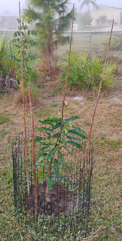 IMG 20251229 075550966 2