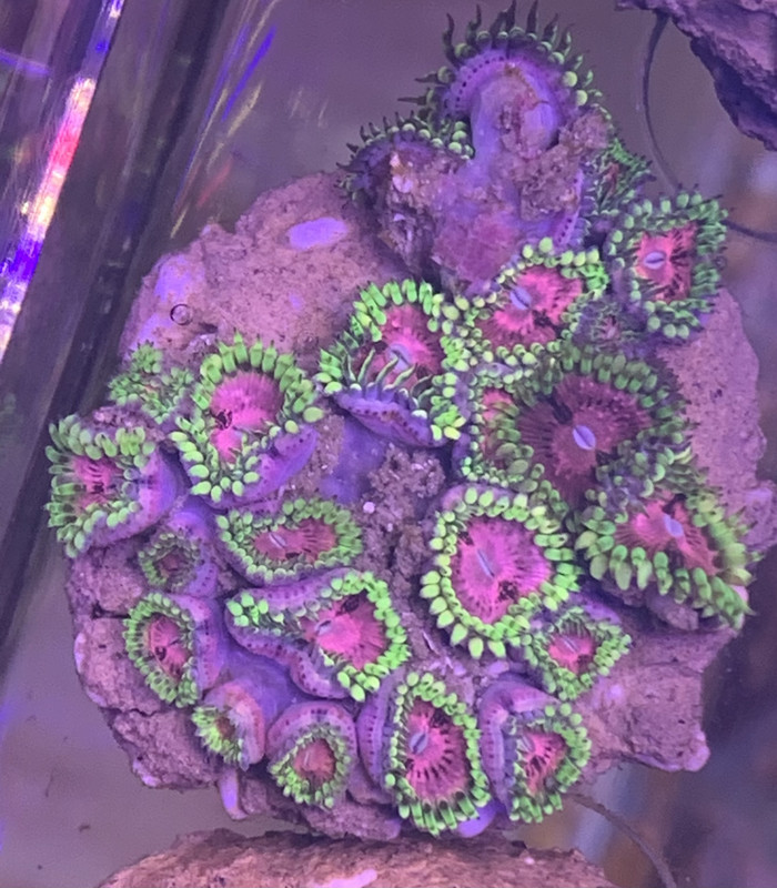 32FADE1D-980A-47DD-983A-BBF407E7A033