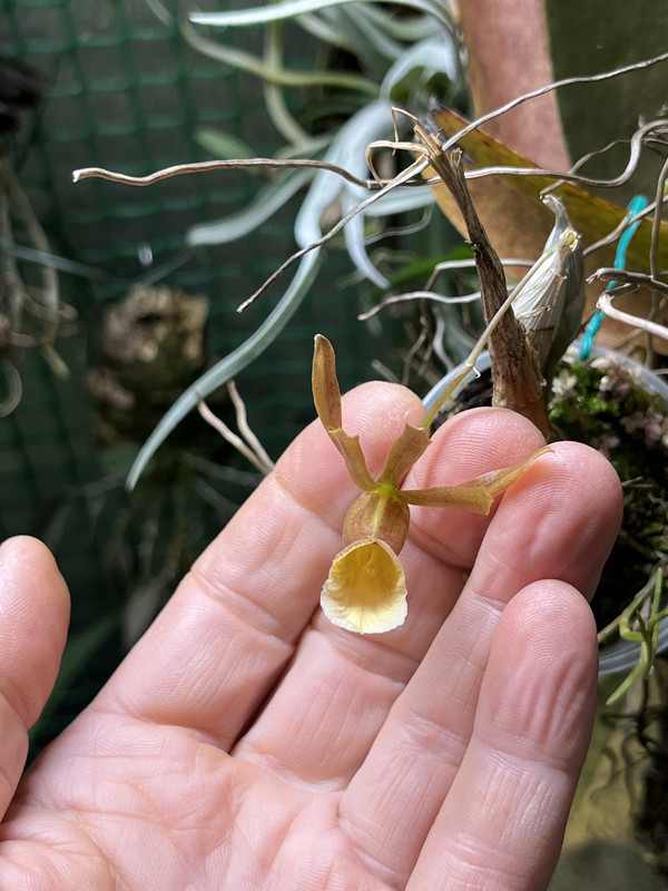 E94C57E3-BDE2-4AD5-8296-D10B2E5D7B8F