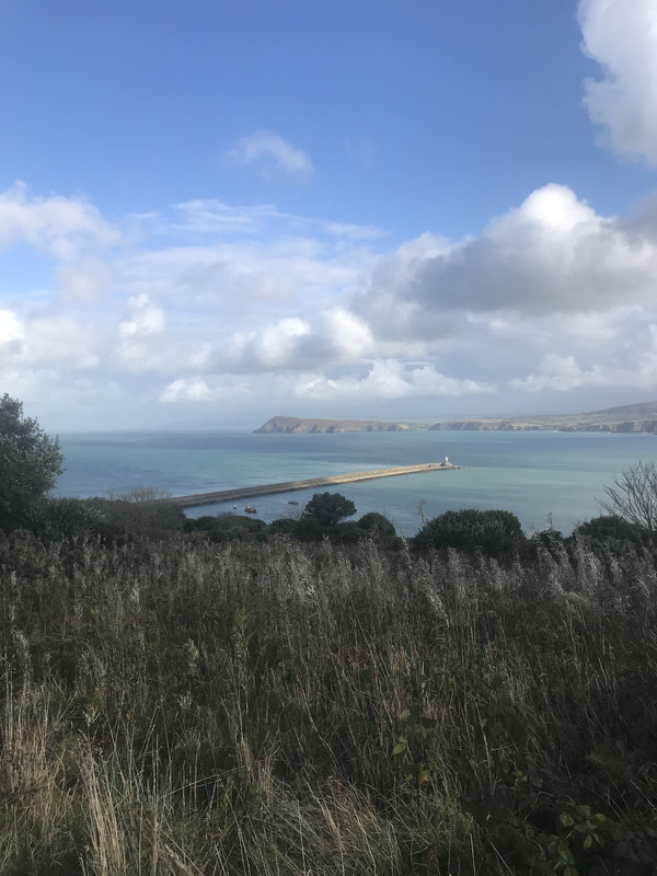 55F91604-A595-44D2-A2CD-BB79003B36F2