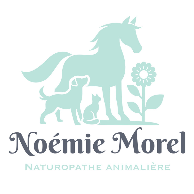Noémie Morel - Naturopathe Animalière