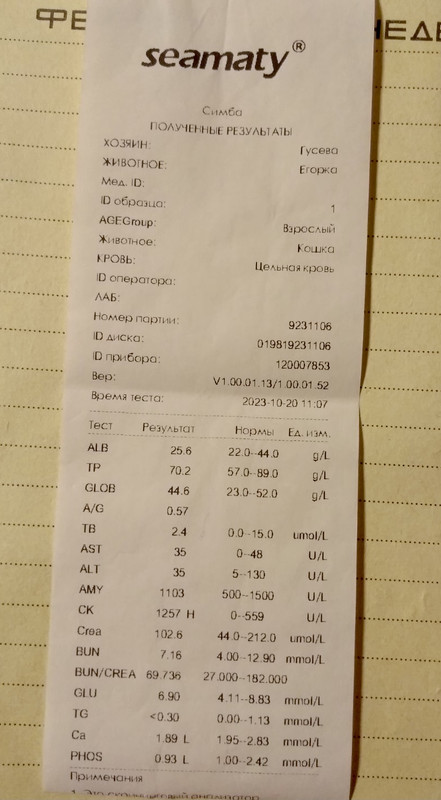 DAB94511-10E0-4AE4-9EB7-4F615965CD04