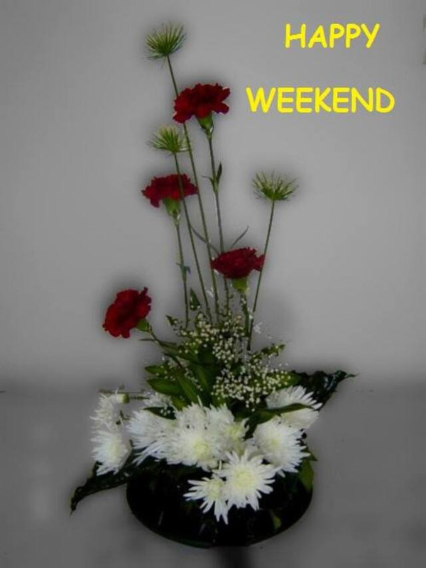 An den Beitrag angehängtes Bild: https://i.postimg.cc/tTH5C7vK/oie-31742369-OKRT1-X9.jpg