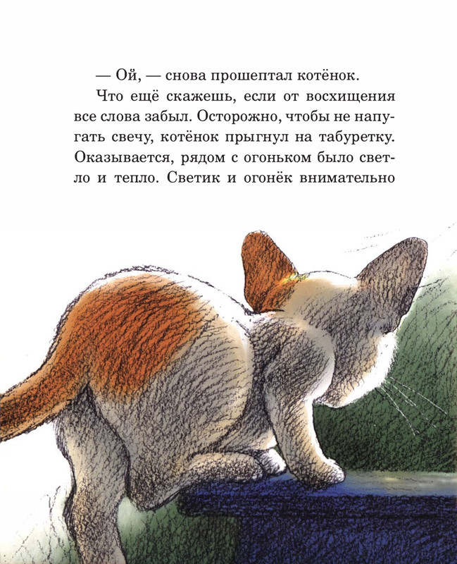 Abramceva-Natala-Skazki-dla-dobryh-serdec-2020-105-208-page-0019