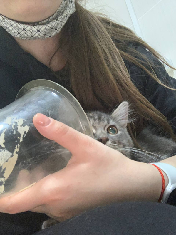 B70EF6D3-E637-457A-B1B5-C90B253CBD75