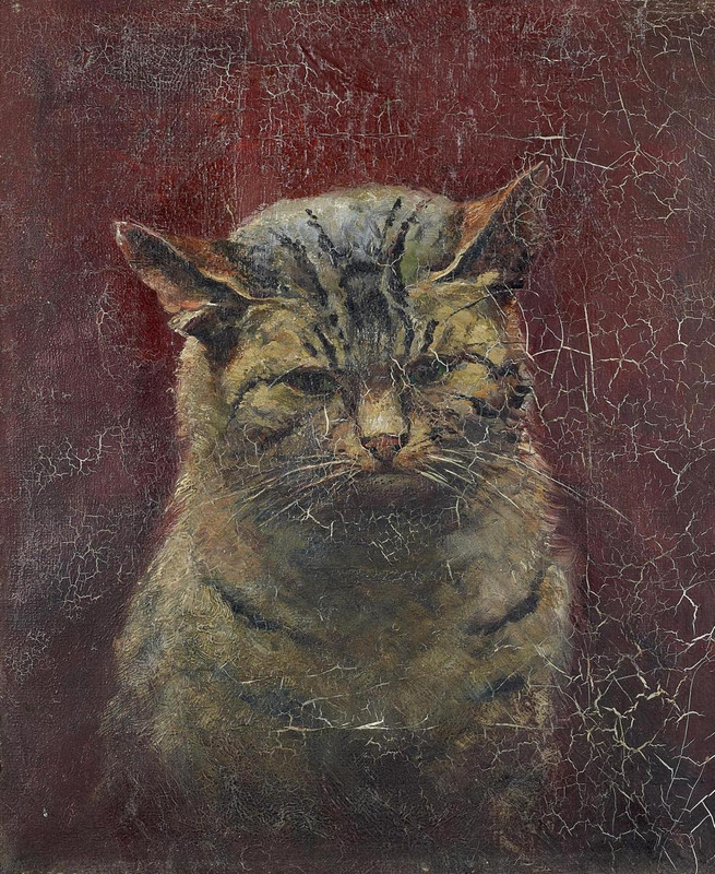 Getigerte-Katze