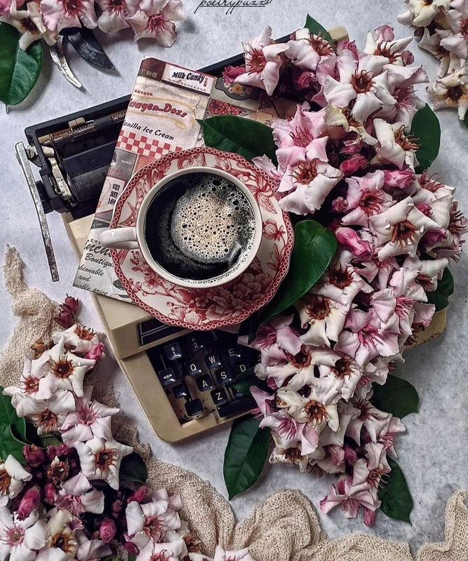 Screenshot_20240112_230225_Instagram