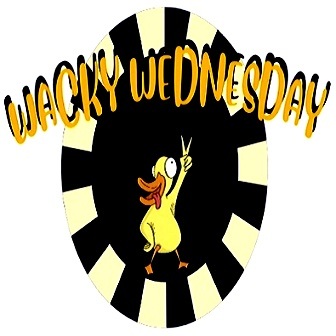 Wacky-Wednesday-Duck