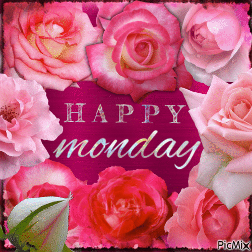 398998-Hot-Pink-Roses-Happy-Monday-Gif