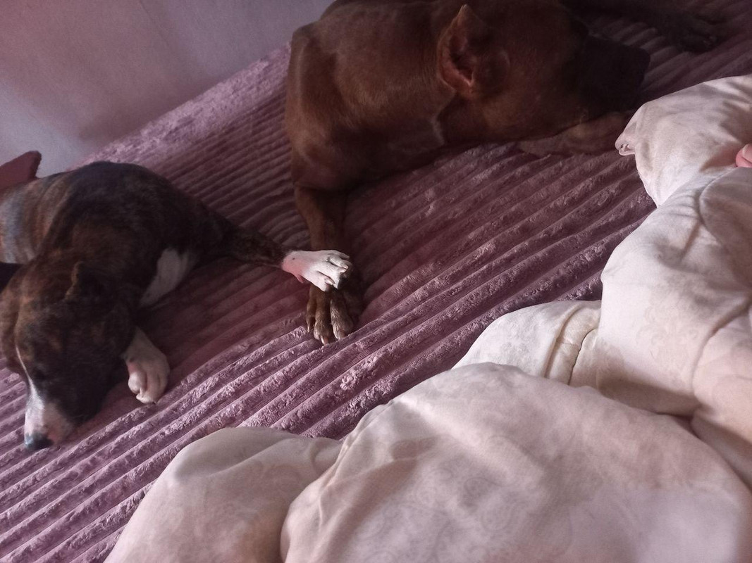 BB2F038E-76BF-4F60-9253-8BDD61D7F5C5