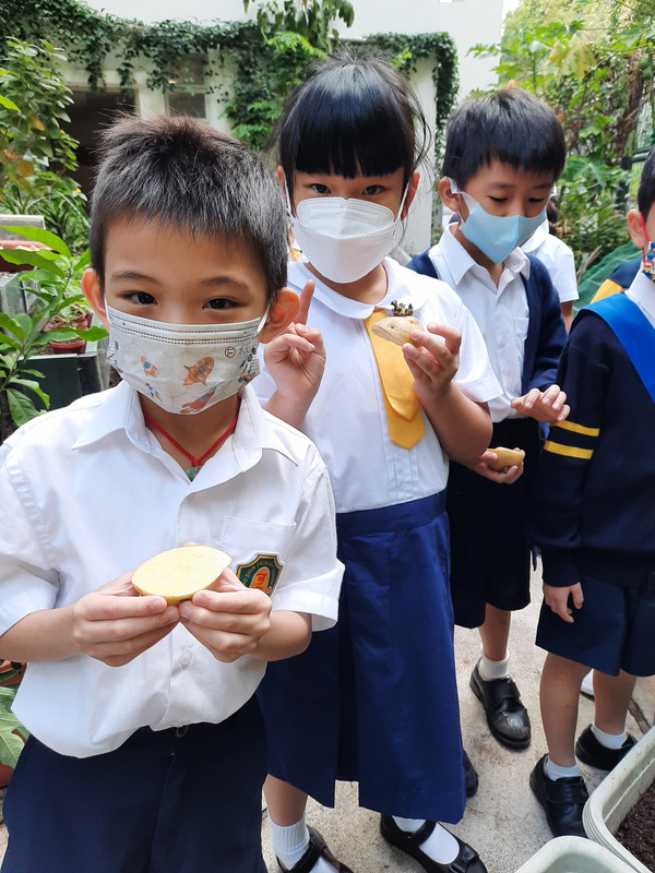 photo-littlefarmer2223-1A-002