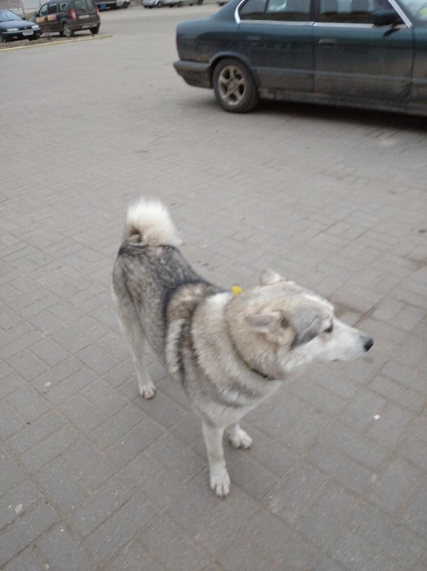 DD60EA59-53E6-4241-AAE8-3431DD4E7704