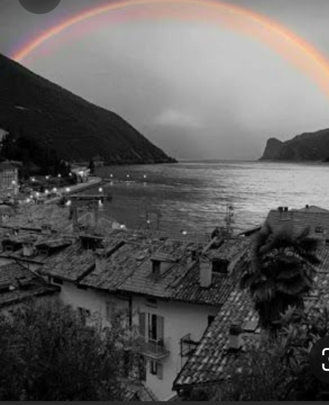 Screenshot_20230329_210735_Pinterest