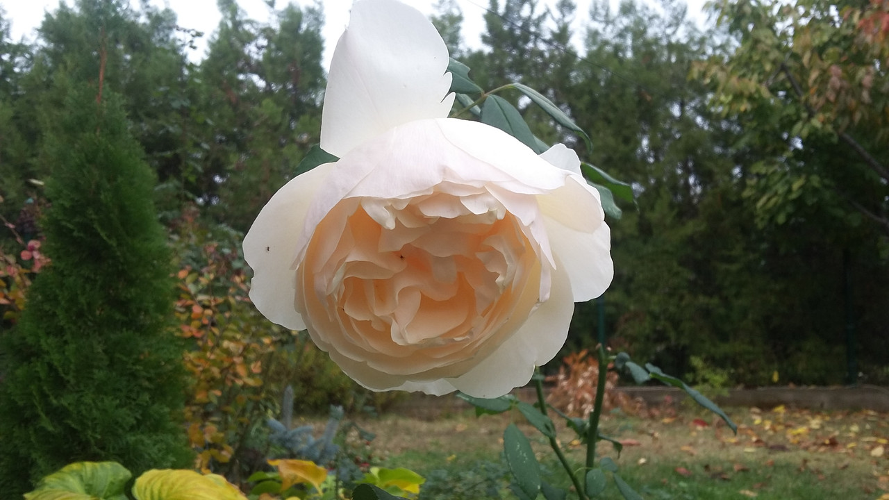 20191102_103234