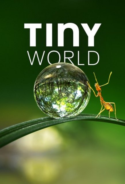 Tiny World S01E03 1080p HEVC x265-MeGusta Tiny World S01E03 1080p HEVC x265-MeGusta