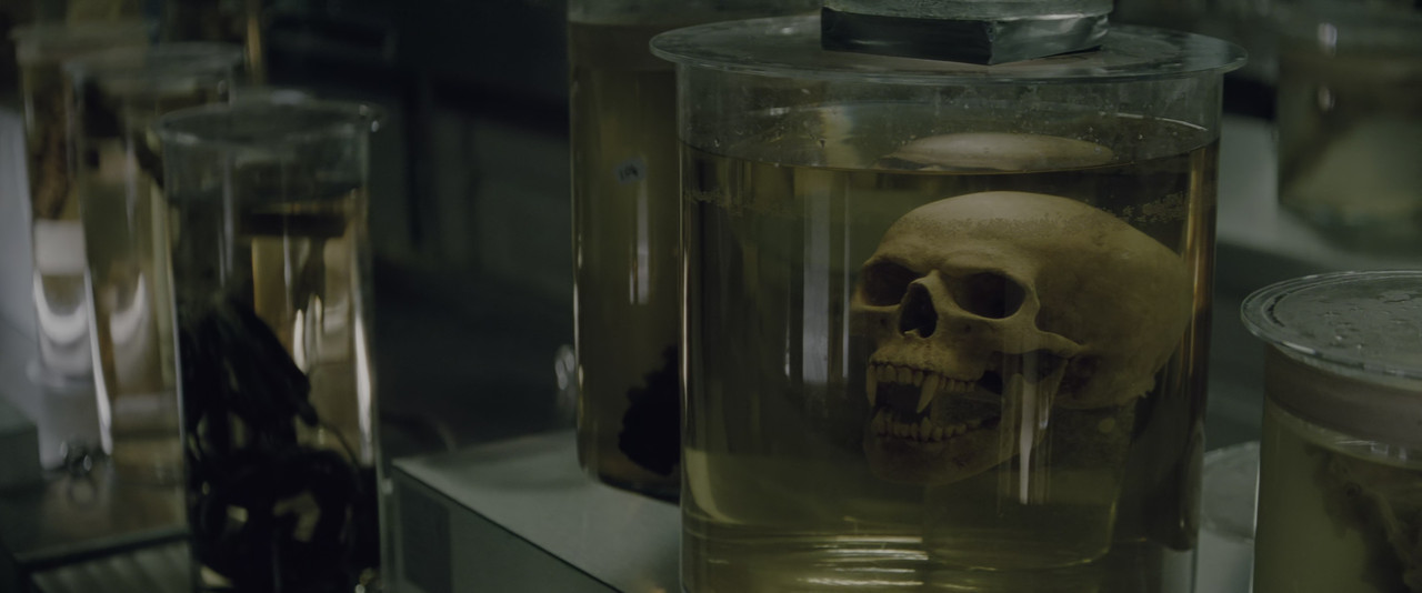 vlcsnap 2026 04 10 16h11m17s837