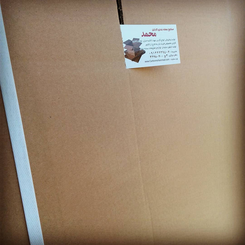 carton-mohammad (100)