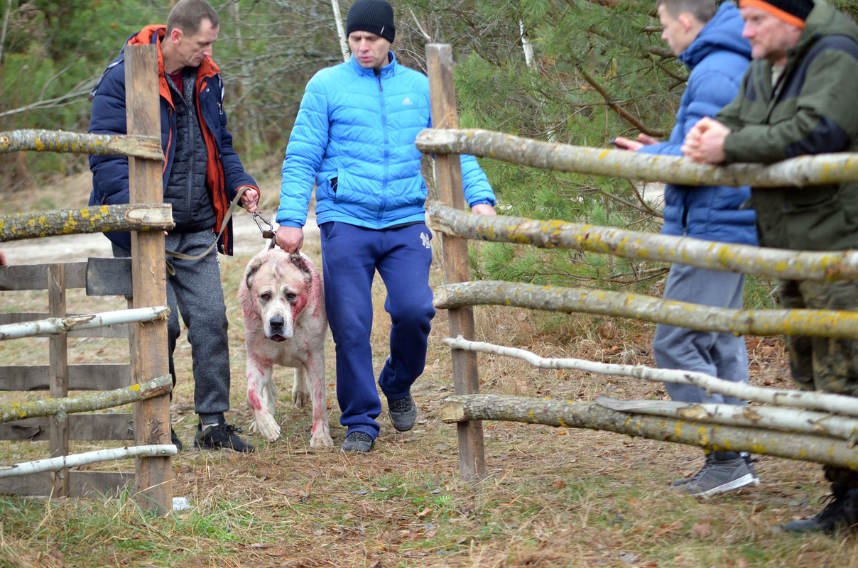 Шаман - Монгол 2 (2)