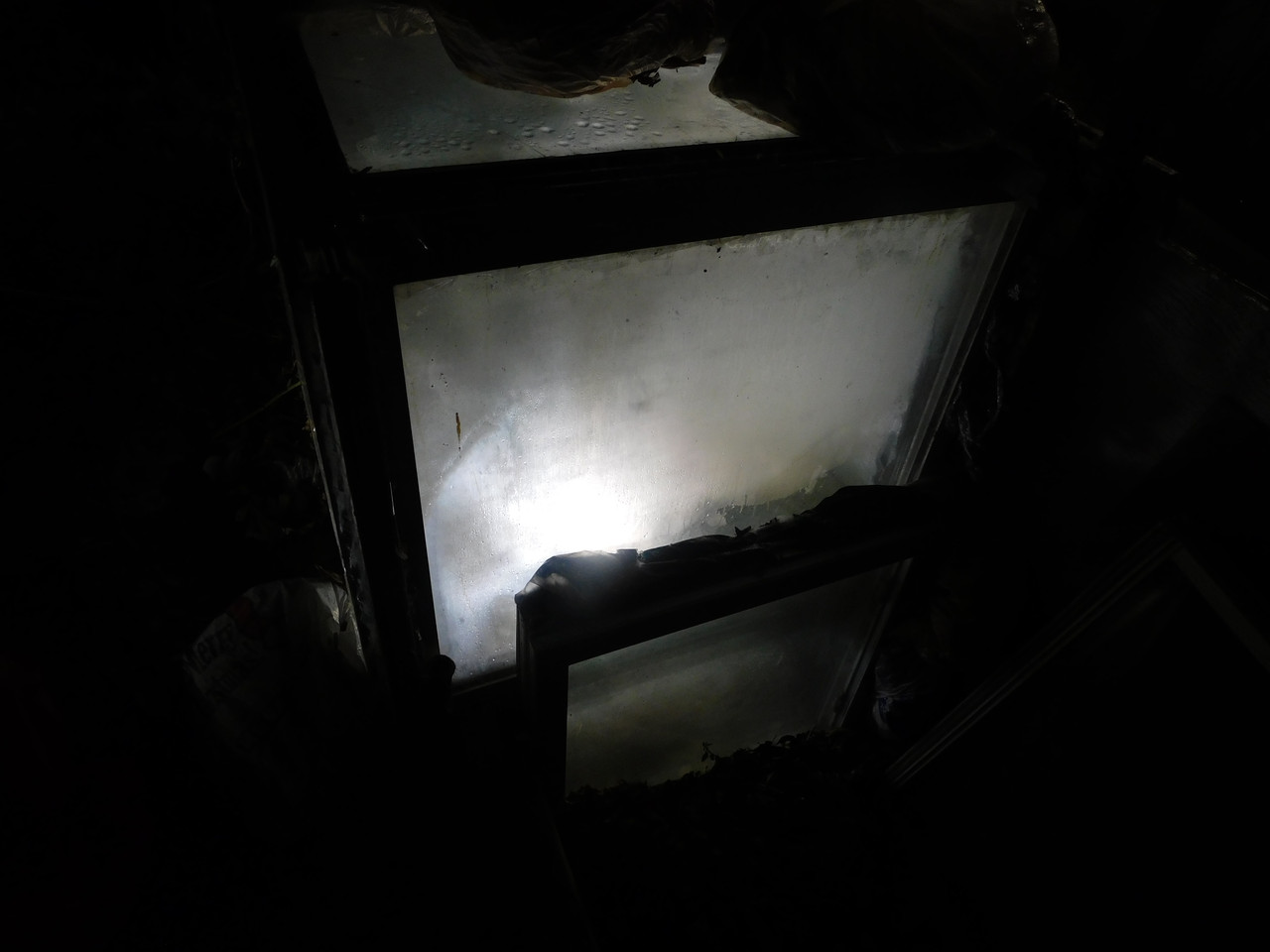 DSCN6079