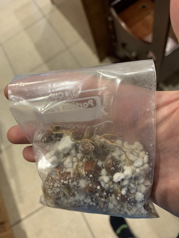 0F6BB267-100D-49C4-83ED-BAB8B213488F