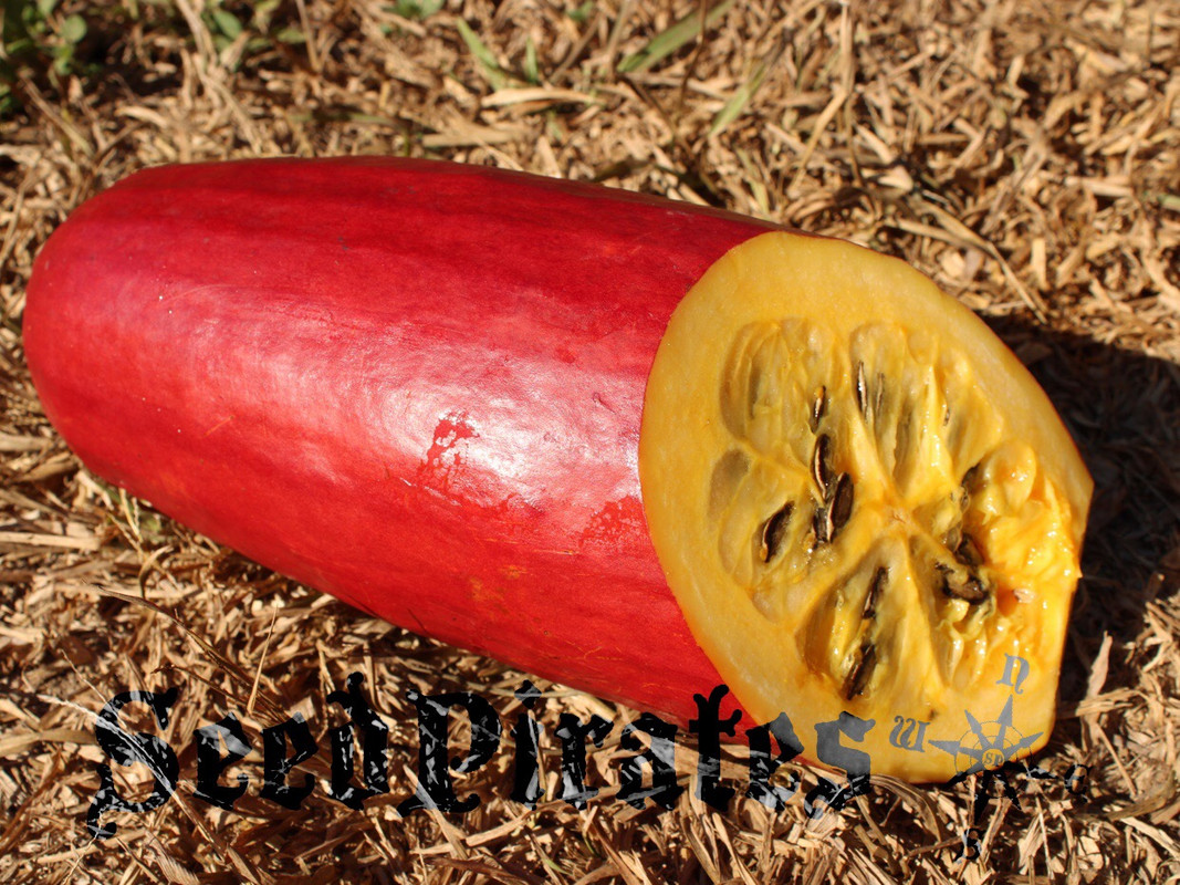 EA9D9662-1433-4DEE-A411-7E2F77D5F826