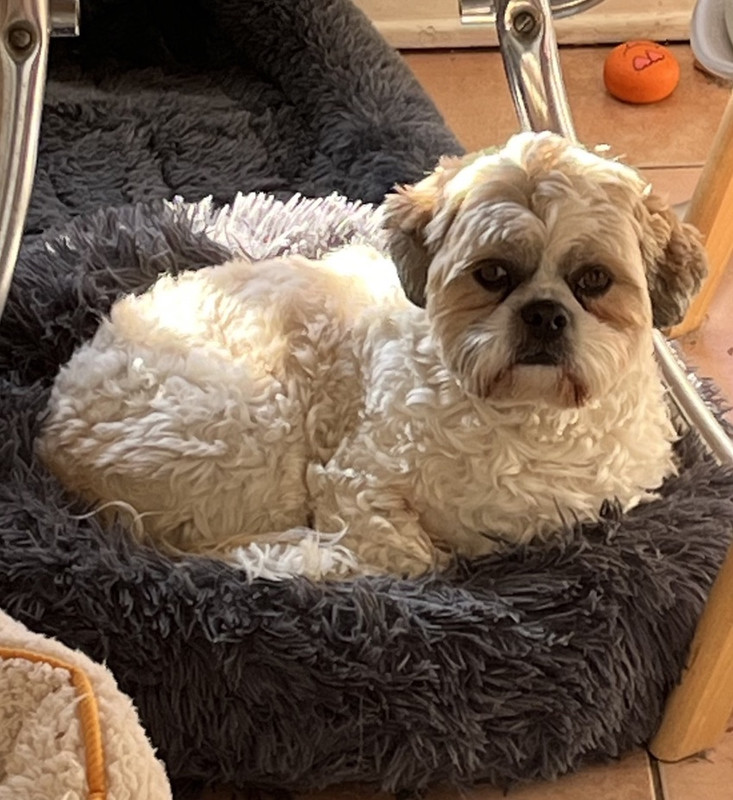 AB7B0CB8-C995-4C08-AEB4-7BEE45F5D22F_1_105_c