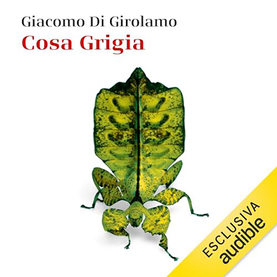 Giacomo Di Girolamo - Cosa grigia (2024) (mp3 - 128 kbps)