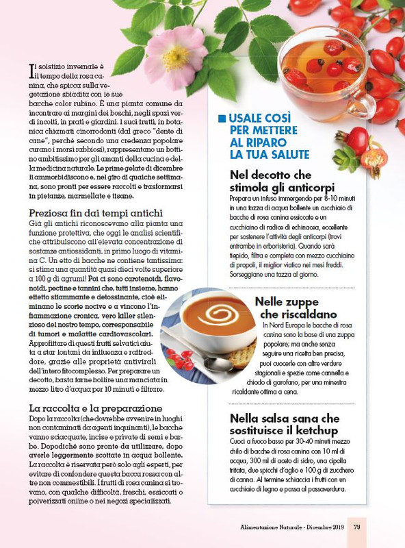 Alim Nat Dic 2019 (8)