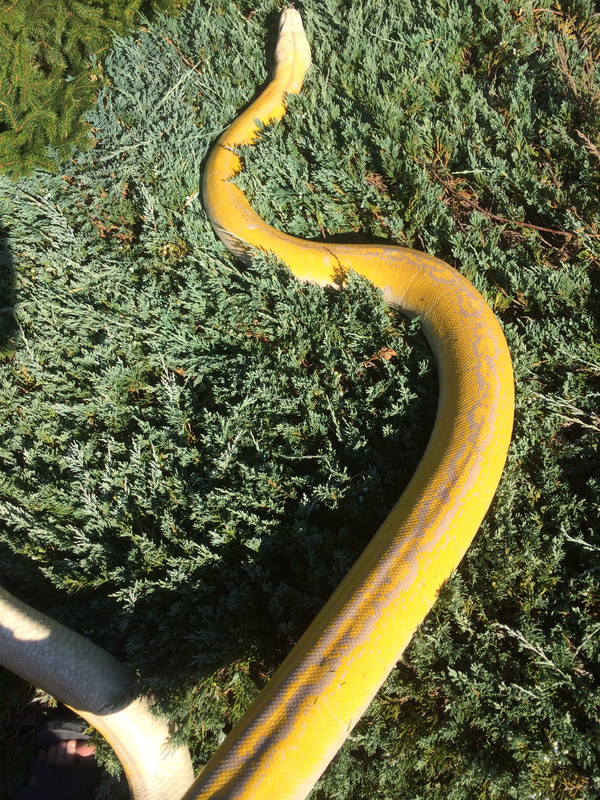 C8E1ACA0-0F35-444D-B013-B7E3C62D4CE9