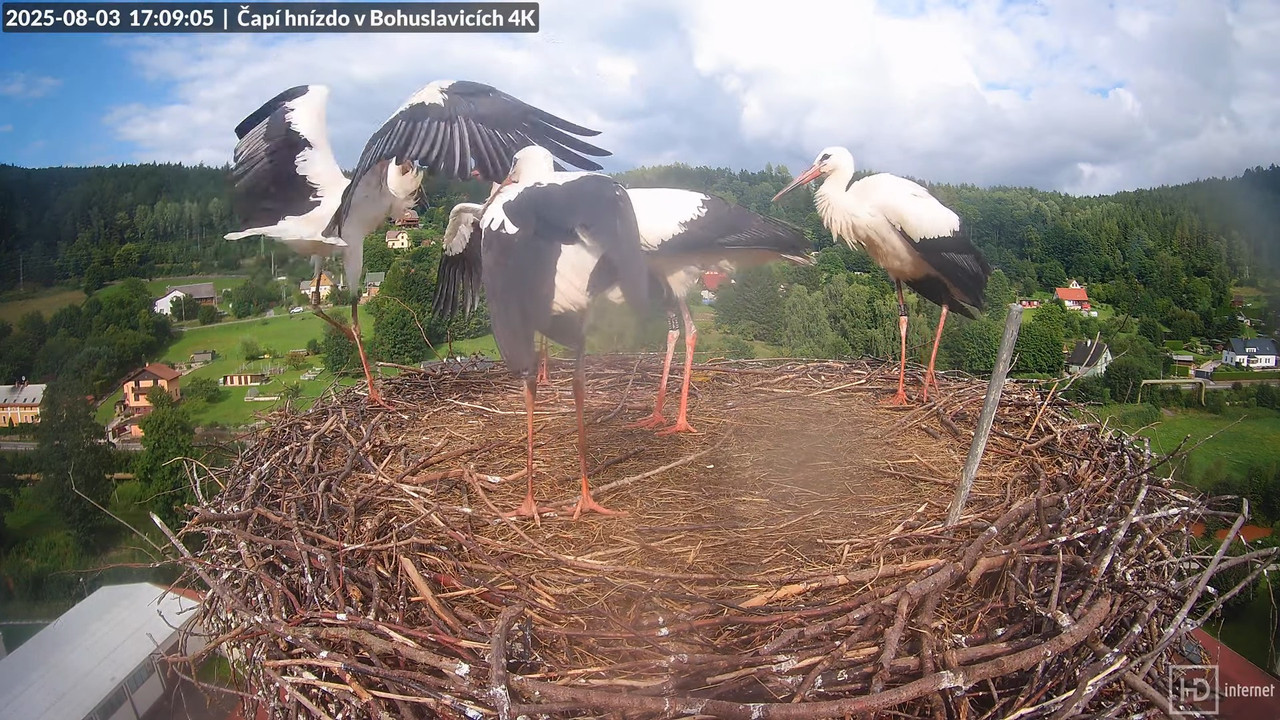 Tiešraide no KARA uzņēmuma stārķu skursteņa Bohuslavicē netālu no Trutnovas 15-58-13 screenshot