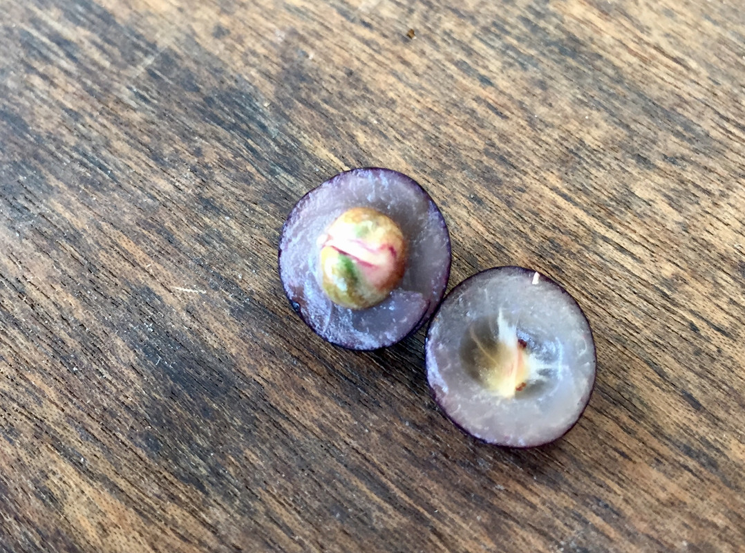 906B2D9D-D9FE-41DB-9383-03A560CADF09