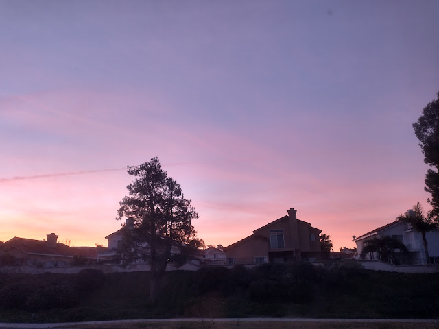 [Image: IMG-20230113-063910200-HDR.jpg]