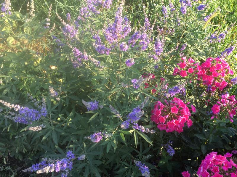 F71369F8-3669-46F6-A1EA-DEC620D377E4