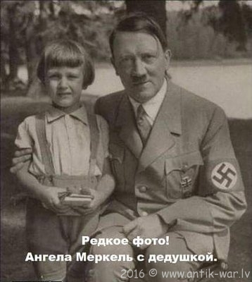 merkel