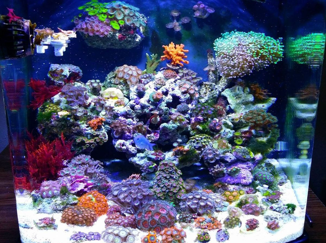 c0c948044f4e52586f0ae63f5dc57cd5