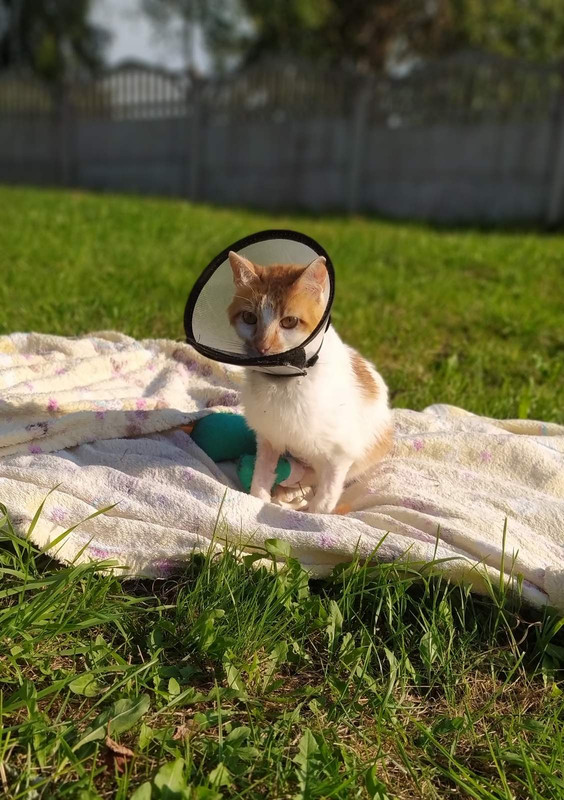 F62D31C0-C3E5-483D-9A76-B0DC04CD7340