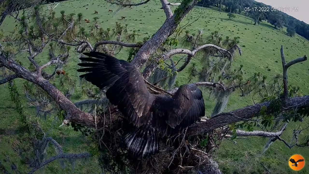 EC 4K Overhead Cam 1-20-22 screenshot