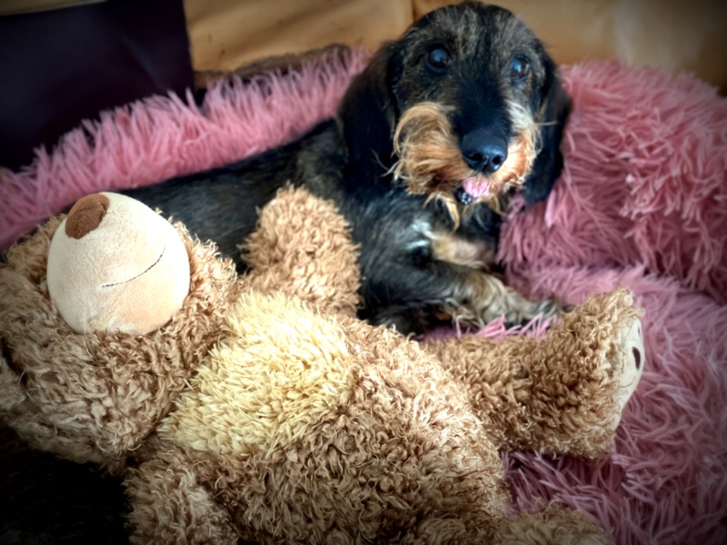 [Image: IMG-1537.jpg]