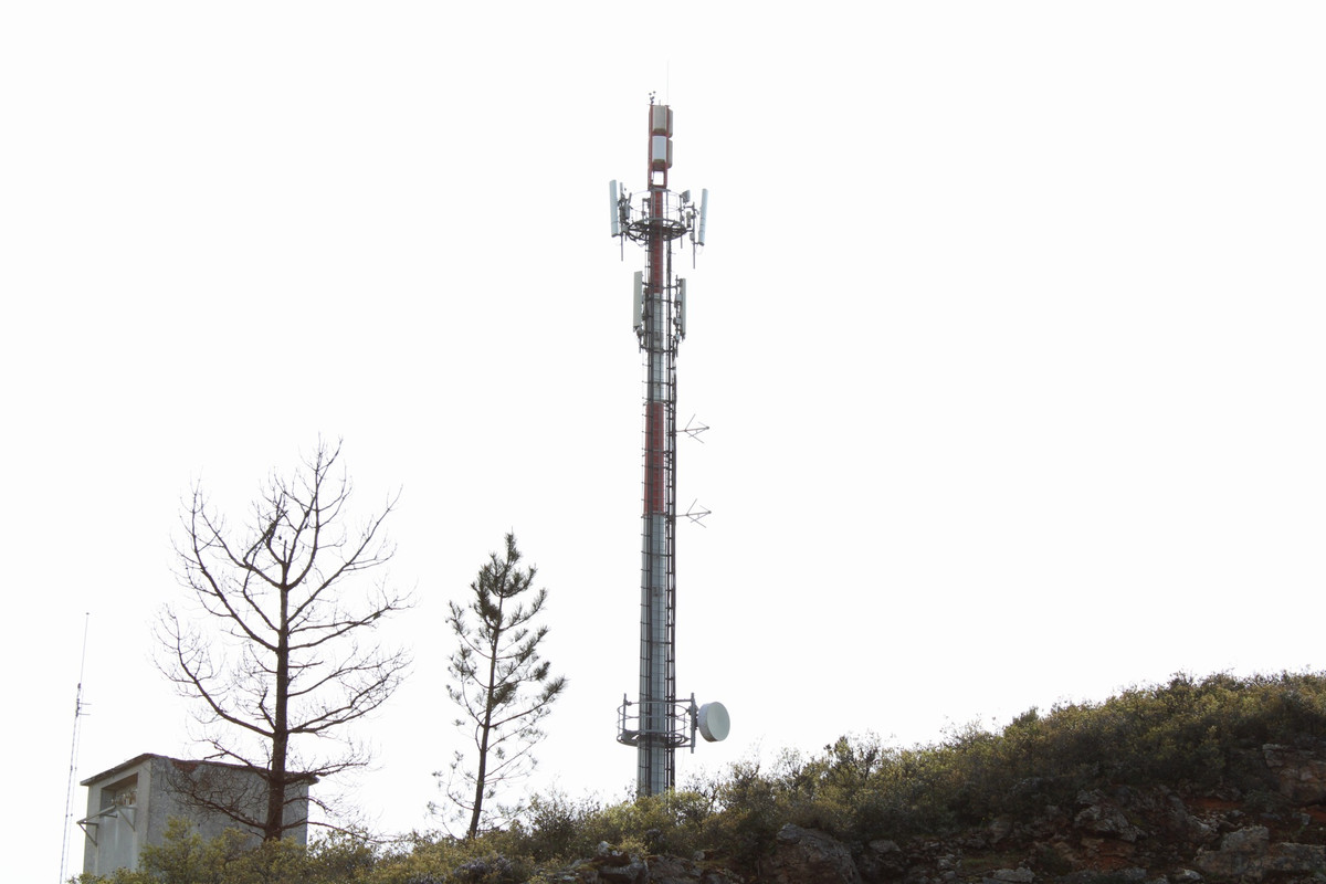 20210406160406_IMG_0251