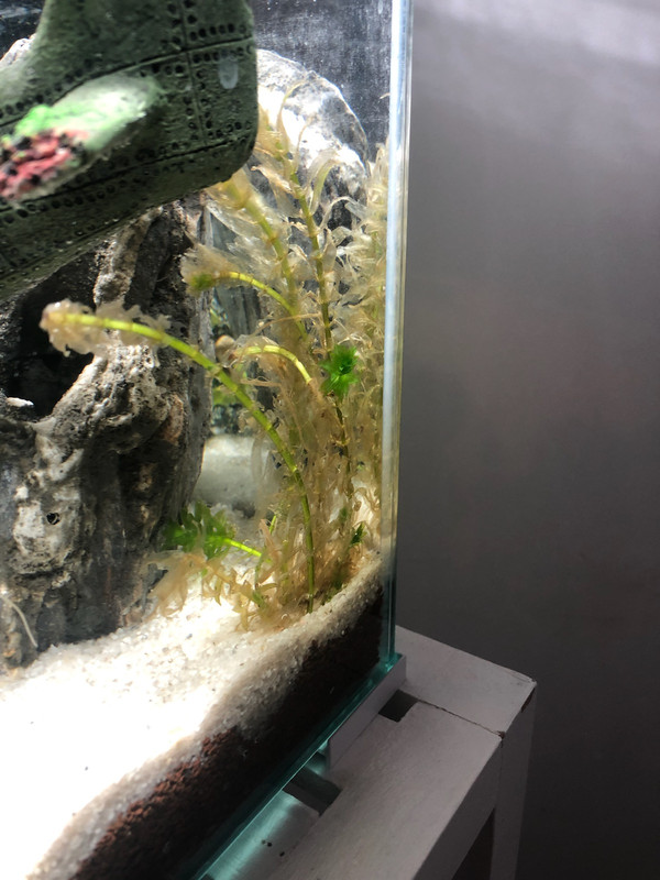 3E3997C9-7232-4747-8836-25C09EA8B6BD