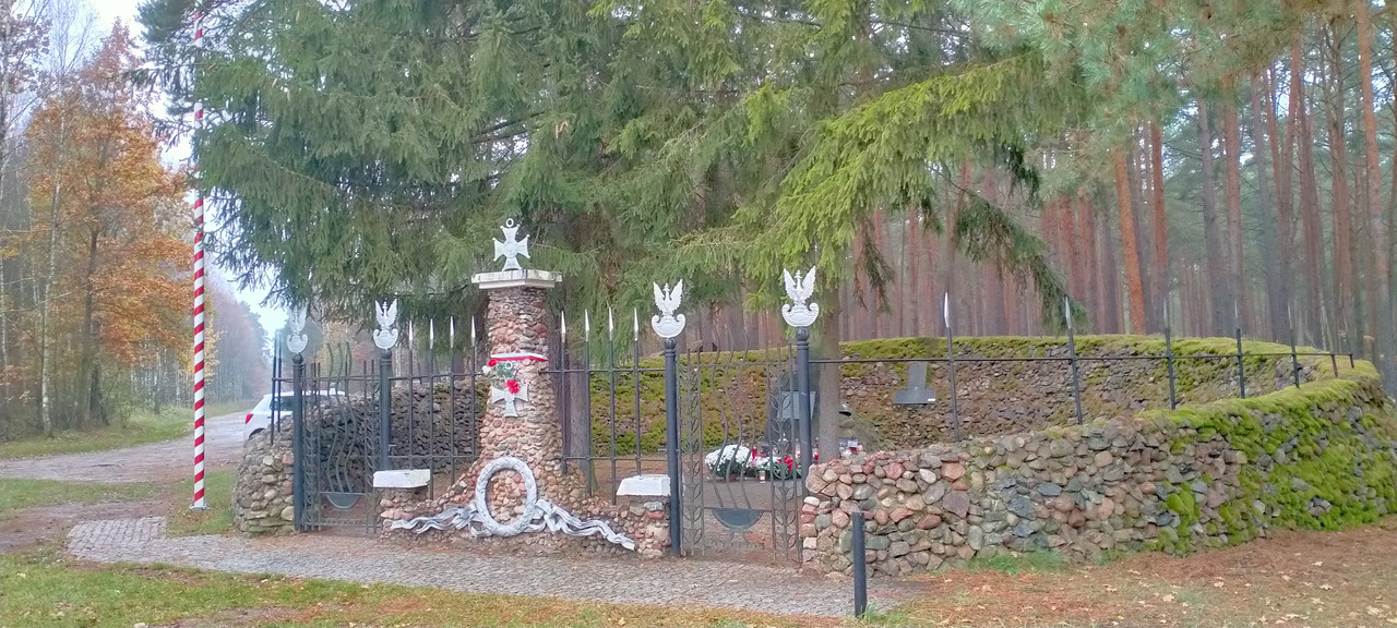 003 - IMG20201102141806