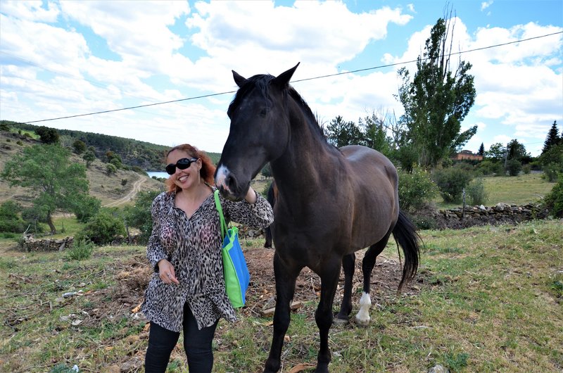 EMBALSE PUENTES VIEJAS, FORTINES Y ANIMALES-24-5-2014-MADRID - Paseando por España-1991/2016 (33)